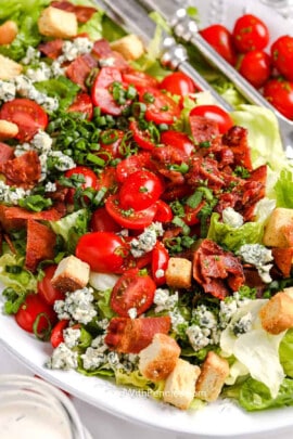 plated BLT Salad