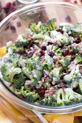 The Best Broccoli Salad in a bowl
