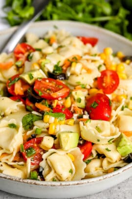 close up of Vegetarian Pasta Salad