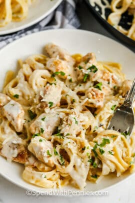 plated Chicken Alfredo with a fork