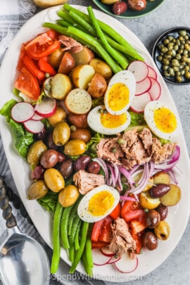 Nicoise Salad in a dish with a spoon beside it