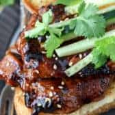 Teriyaki Pork on a toasted roll with sesame seeds cilantro