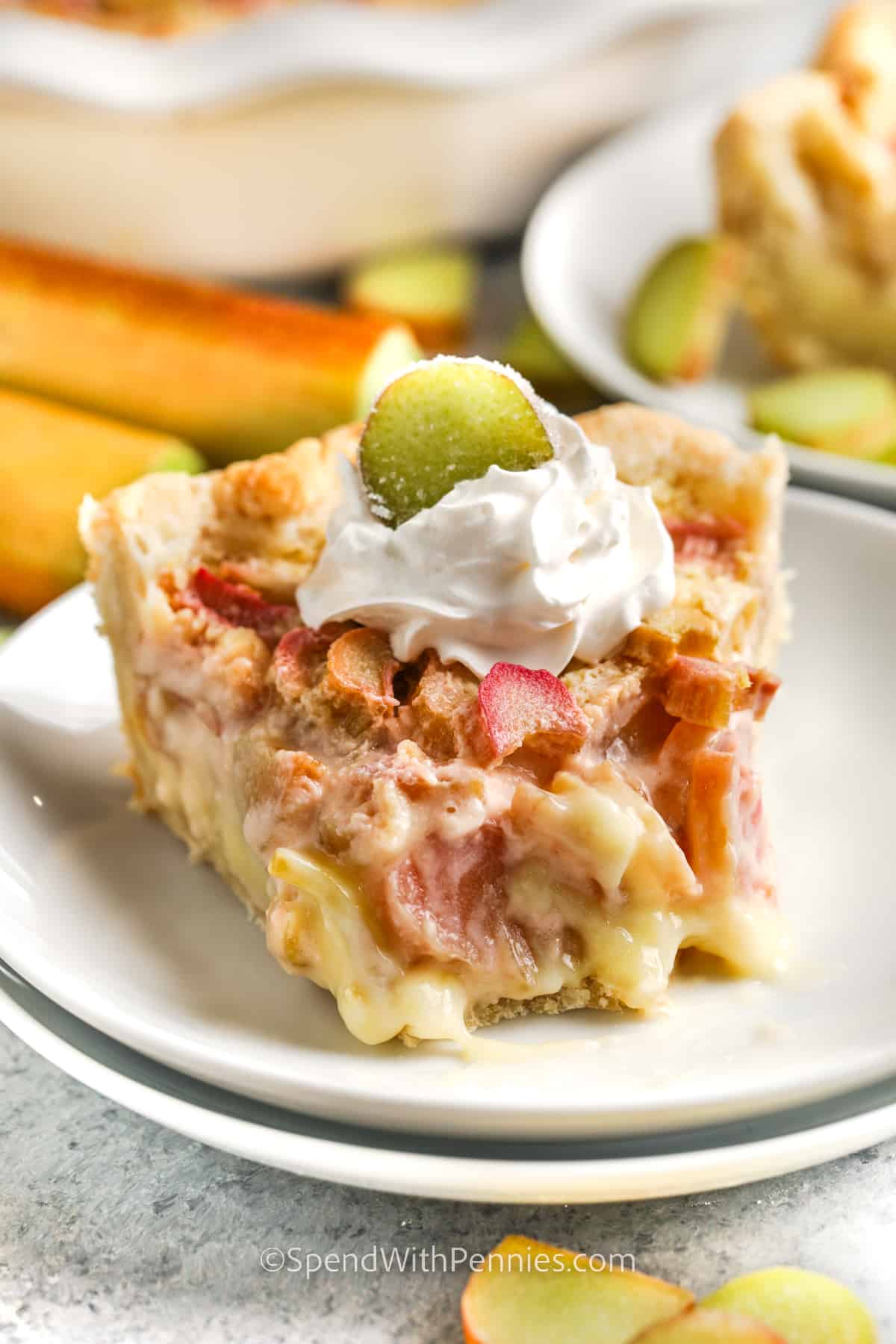 Rhubarb Custard Pie with a bite taken out
